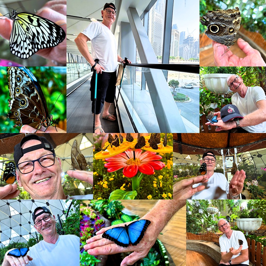 Butterflygarden Dubai